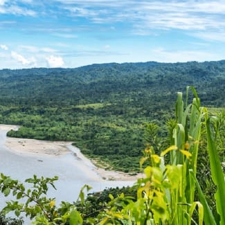 View Of The Amazonia , Manu, Peru