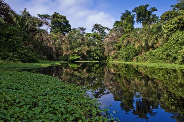 La Jangada (Katerre) - Brazilian Amazon Adventure