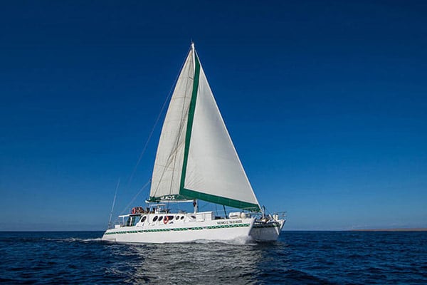 Nemo II’s 8-Day Northern Itinerary Day Eight - Disembarkation.